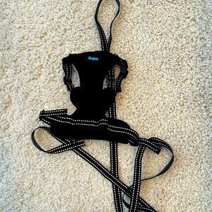 Black Cat Harness and Leash Set for larger cat.  Up to 22 pounds.